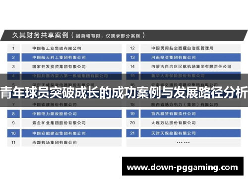 青年球员突破成长的成功案例与发展路径分析