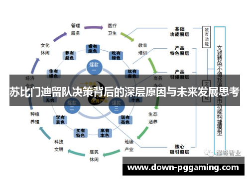 苏比门迪留队决策背后的深层原因与未来发展思考