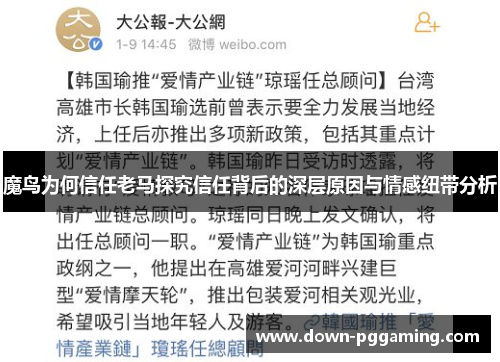 魔鸟为何信任老马探究信任背后的深层原因与情感纽带分析