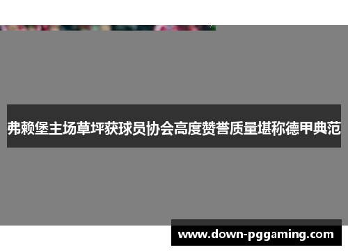 弗赖堡主场草坪获球员协会高度赞誉质量堪称德甲典范