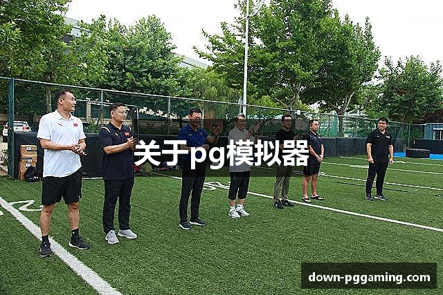 关于pg模拟器